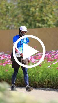 BIB:  <button type="button" onclick="openModal(27585752)" class="btn btn-primary btn-sm float-right" data-toggle="modal" data-target=".modal-high-quality">
                <i class="fa fa-download"></i> Download
                </button>